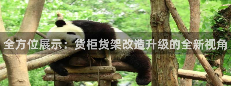 杏运体育app下载安装手机版