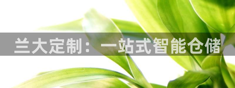 杏运娱乐平台注册地址在哪里