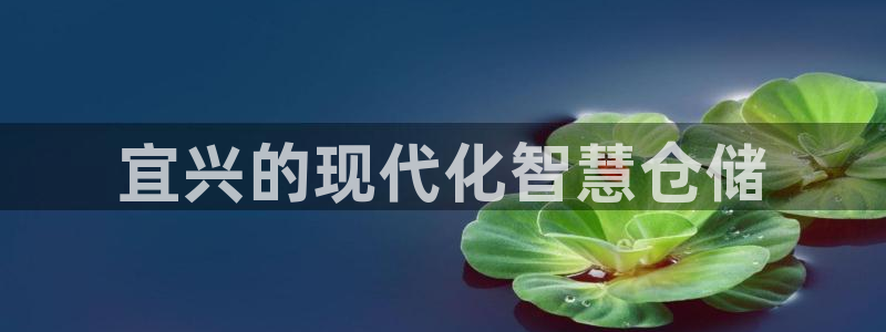 杏运体育官方网址登录